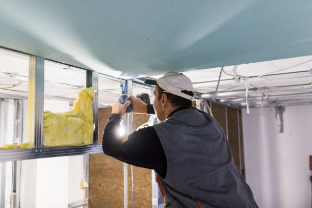 Best Eco-Friendly Insulation in Garwood, NJ